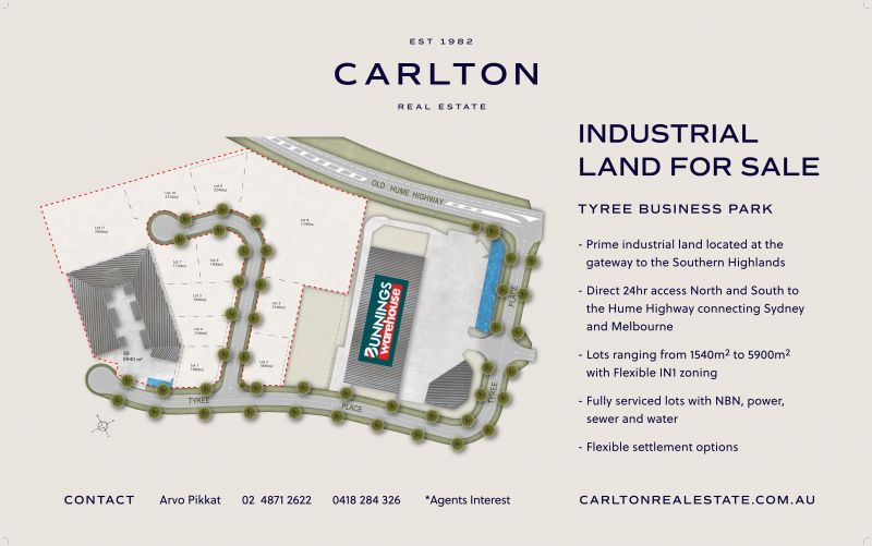 AwardWinning Real Estate Agency Carlton Real Estate