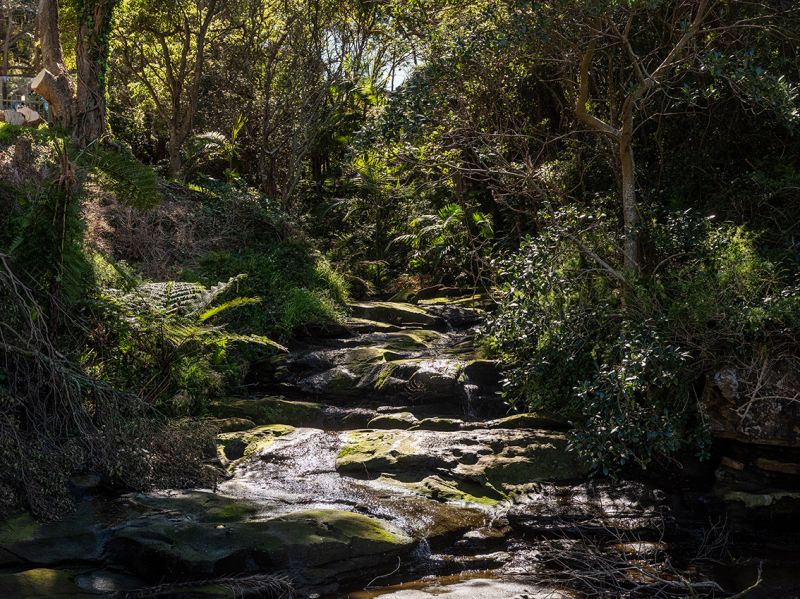 52b Parthenia Street, Dolans Bay NSW, Dolans Bay - Thumbnail 6