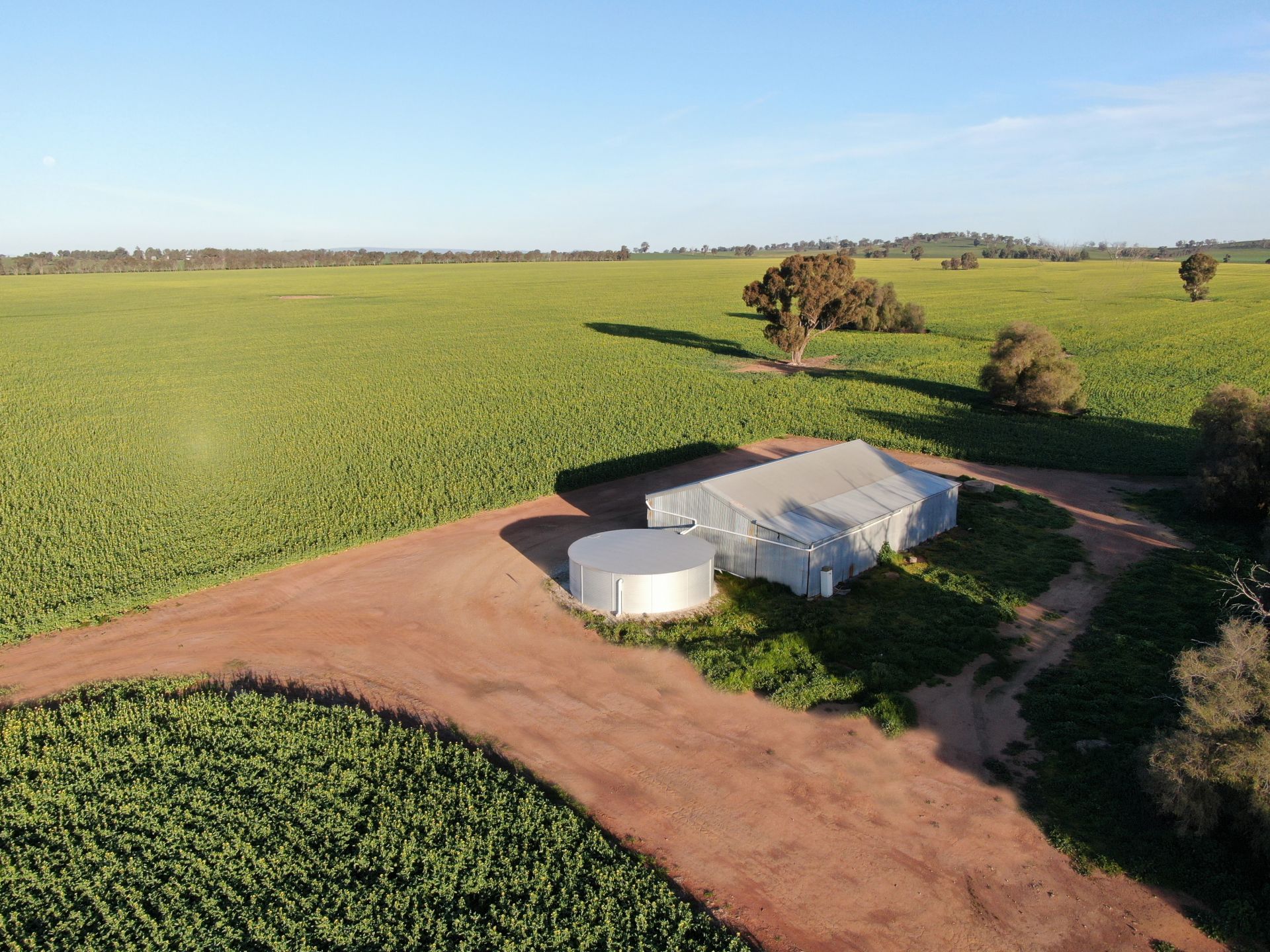 Sherwyn Road, Culcairn Inglis Rural Property