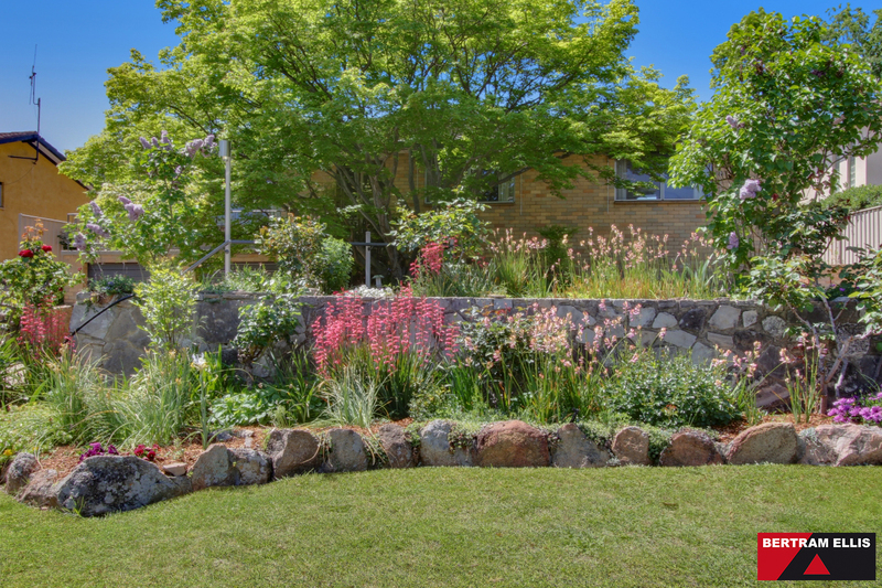 4 Rowell Place, Weston - Thumbnail 3