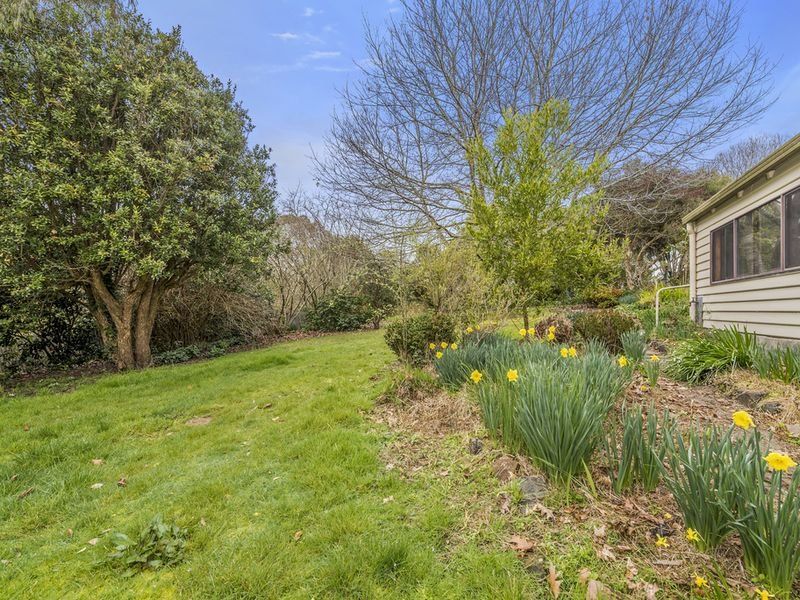 8 Blundy Street, Forrest, VIC, Forrest - Thumbnail 7