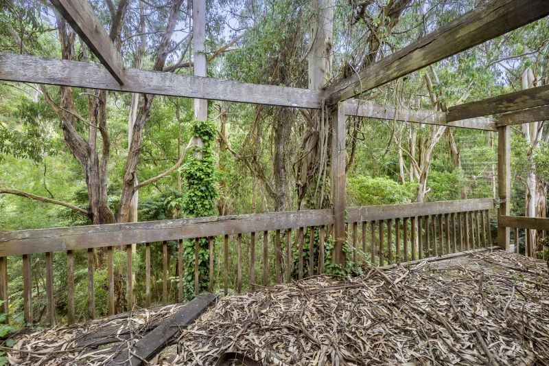 10 Richardson Boulevard, Lorne, VIC, Lorne - Thumbnail 7
