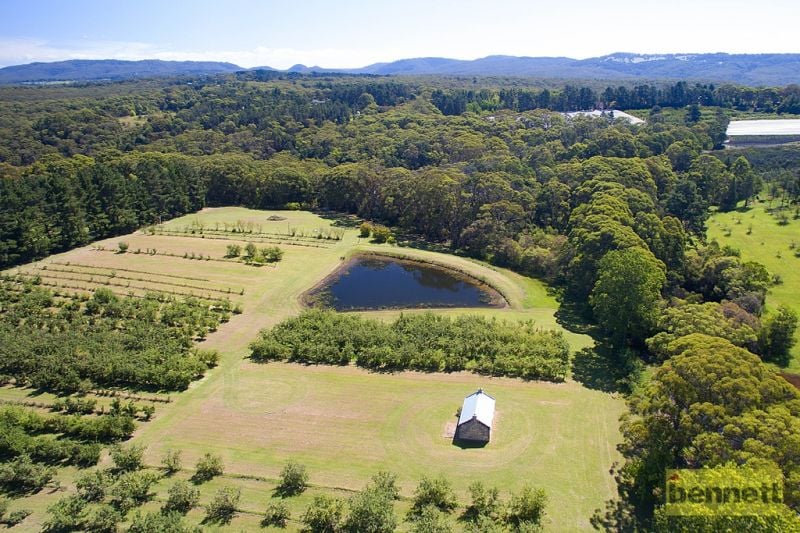 Lot 2 Hanlons Road, Bilpin - Thumbnail 5