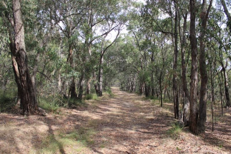 350 Wormbete Station Road, Wensleydale - Thumbnail 4