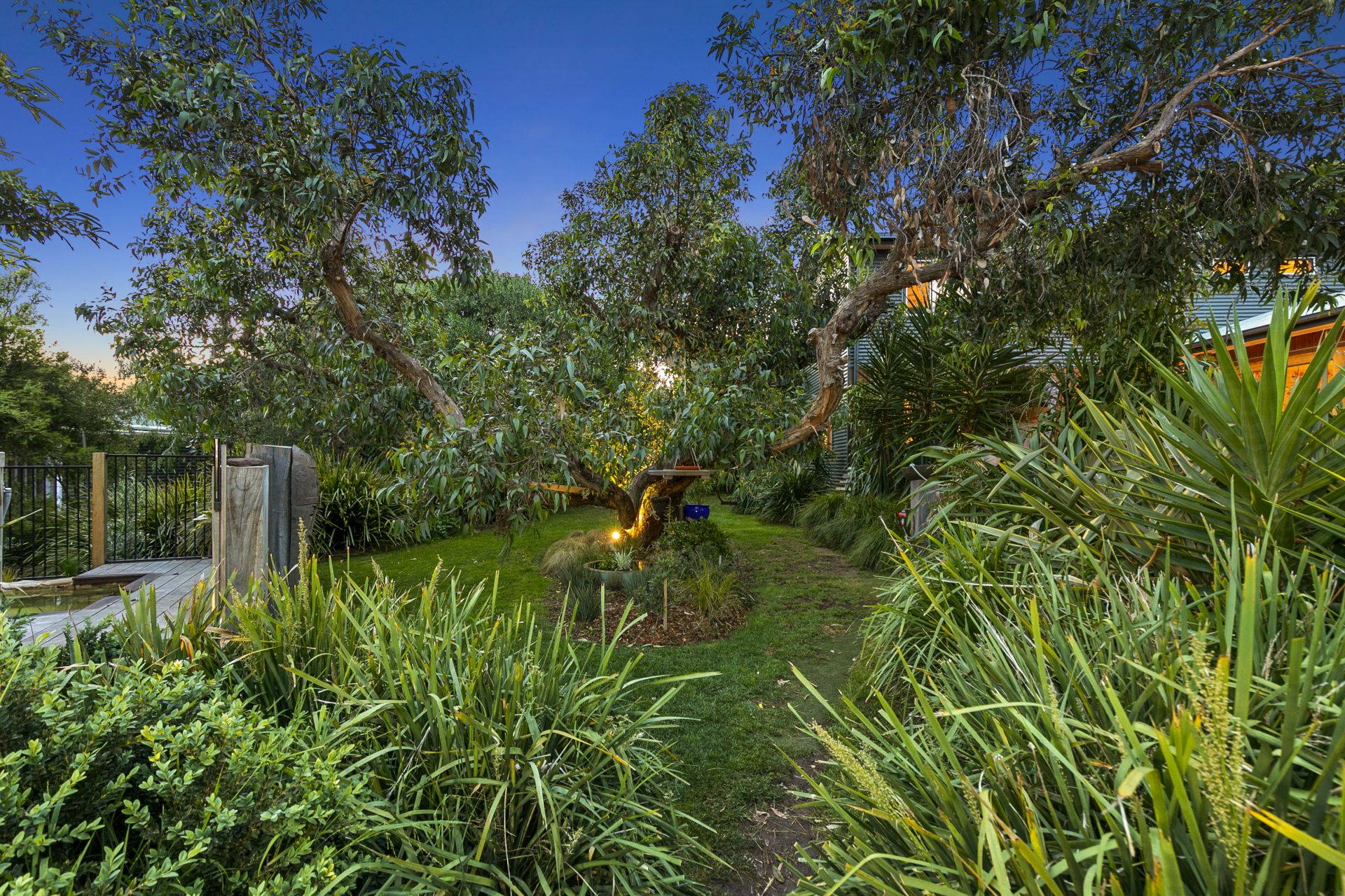 14 Sixth Avenue, Anglesea - Thumbnail 4