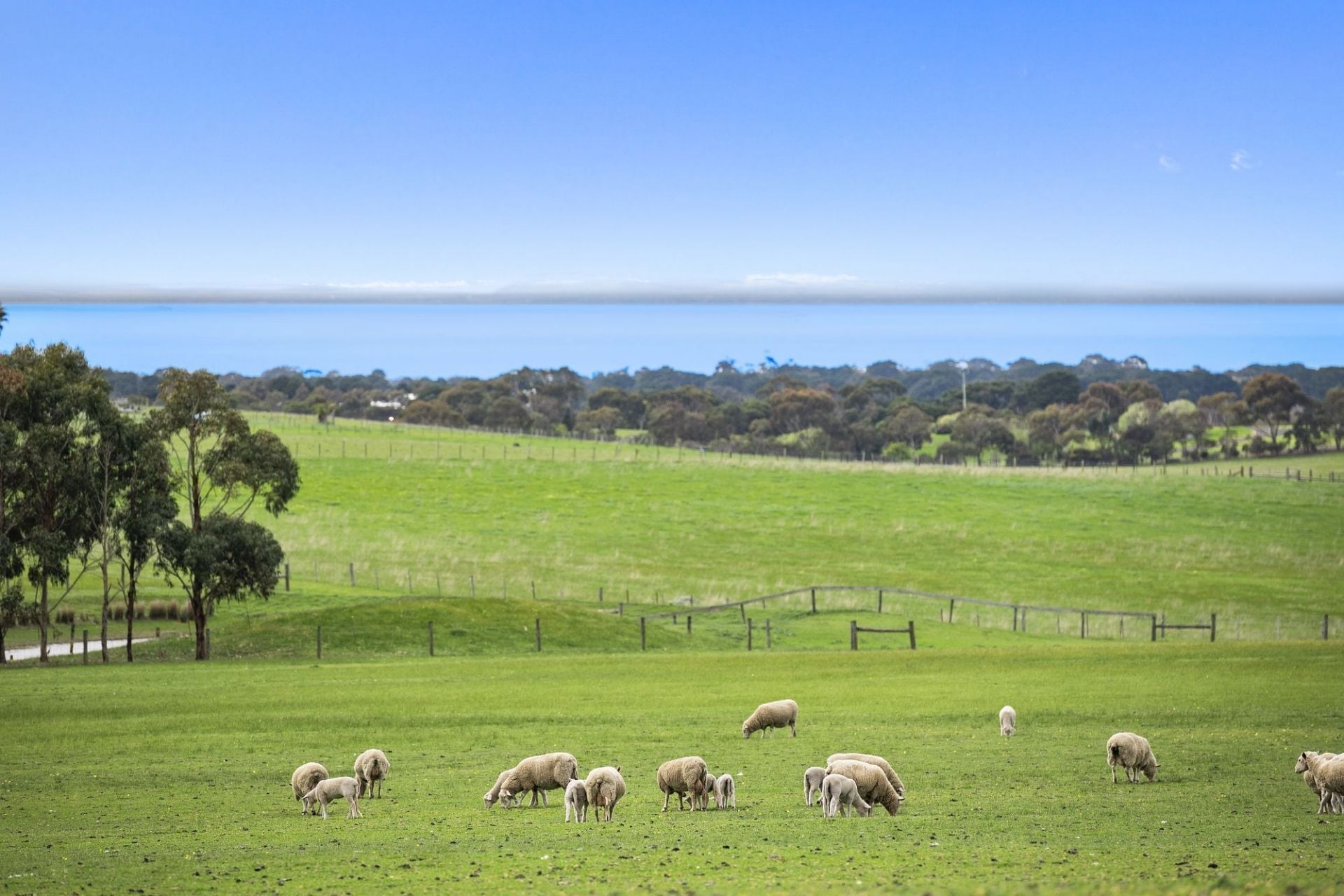 112-150 Church Road Bellarine VIC, Bellarine - Thumbnail 5