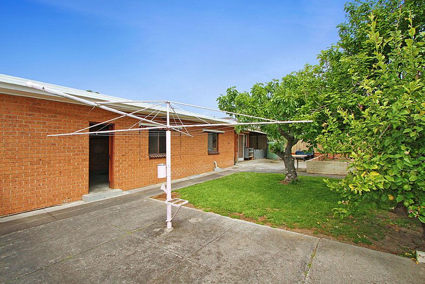 ONE LOCATION, TWO FRONTED, THREE BEDROOMS, & A FOUR CAR GARAGE!