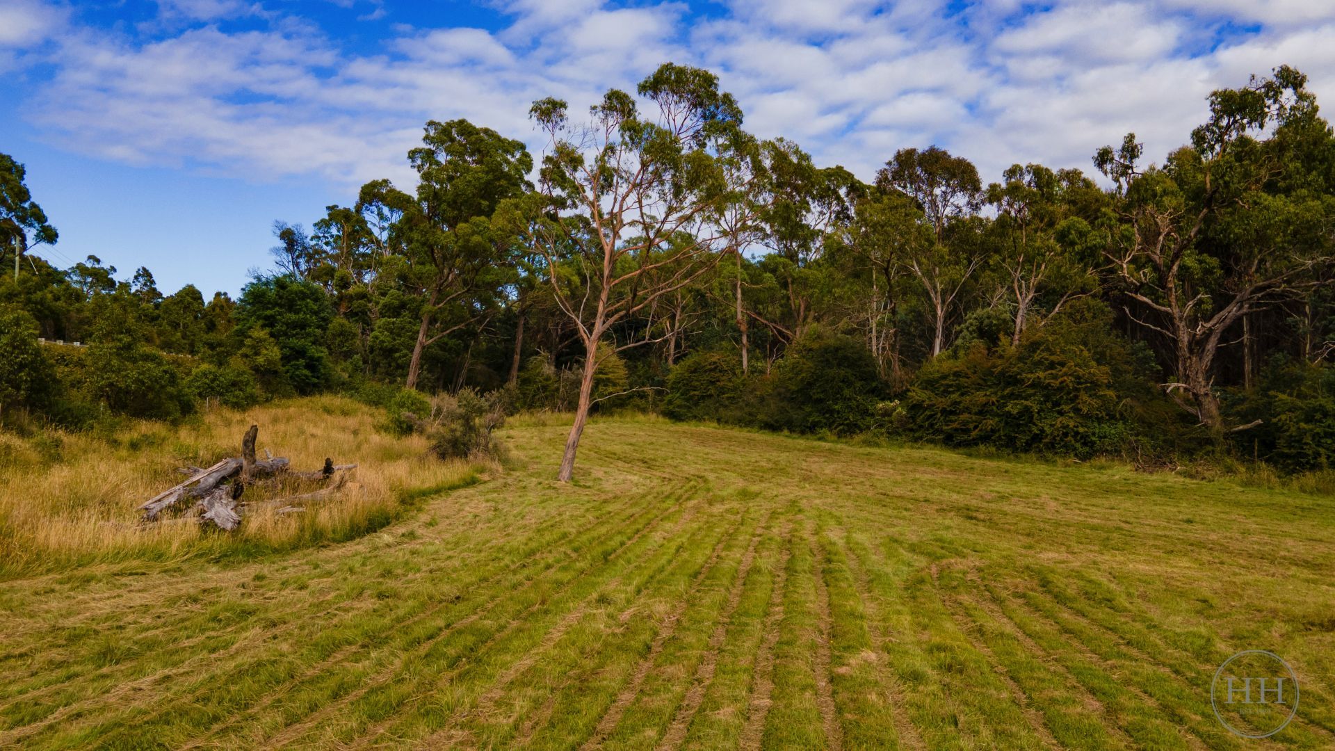 39080 Tasman Highway Nunamara, Nunamara - Thumbnail 6