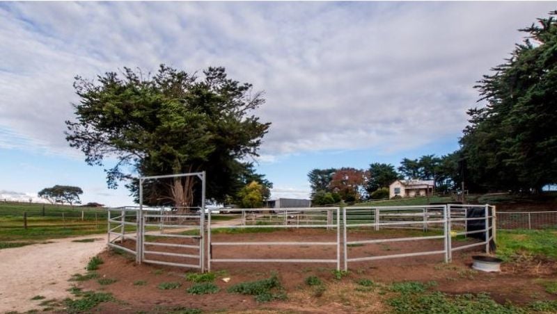 297 Yahl Hall Road Mount Gambier SA, Mount Gambier - Thumbnail 2
