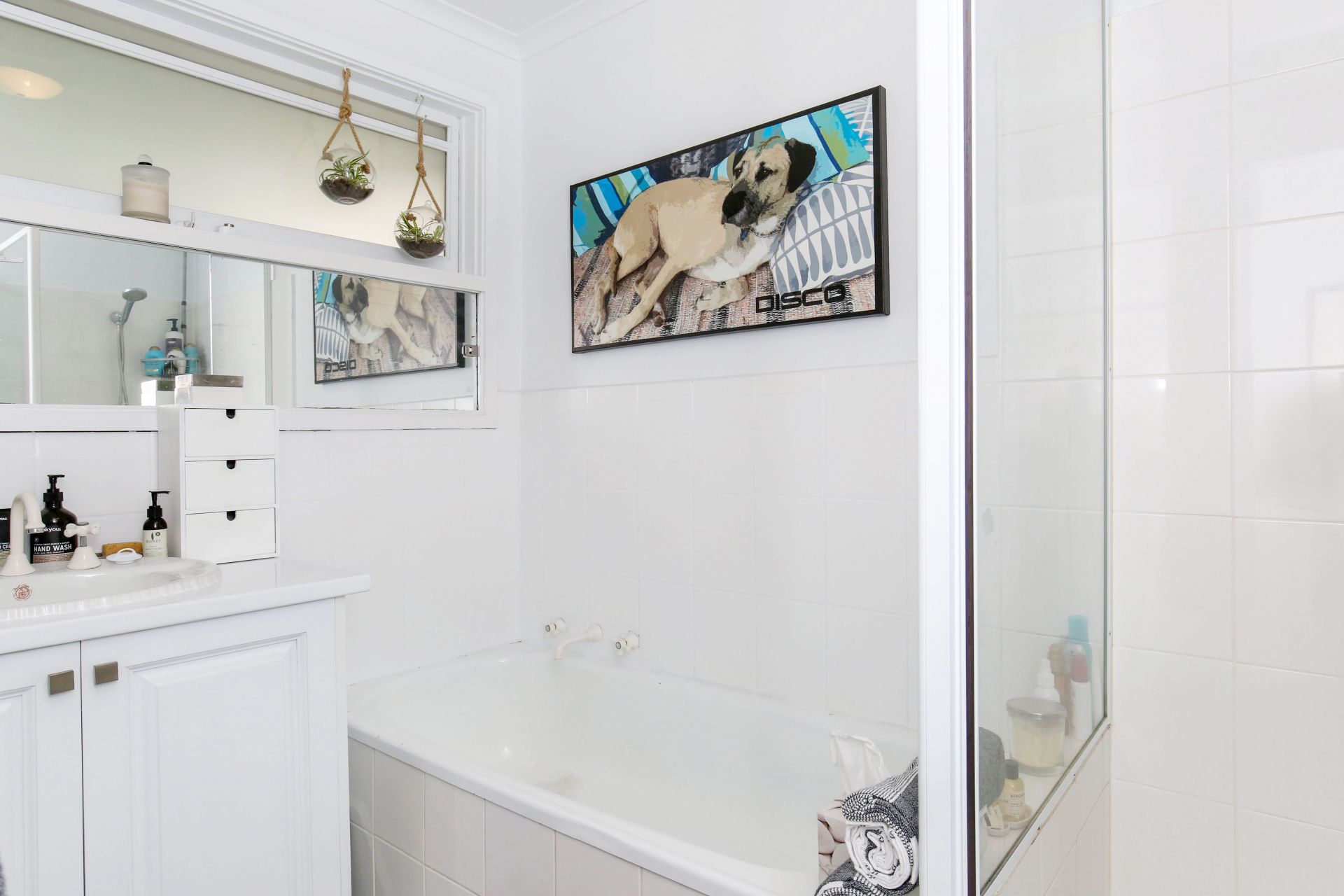 PET FRIENDLY!!
