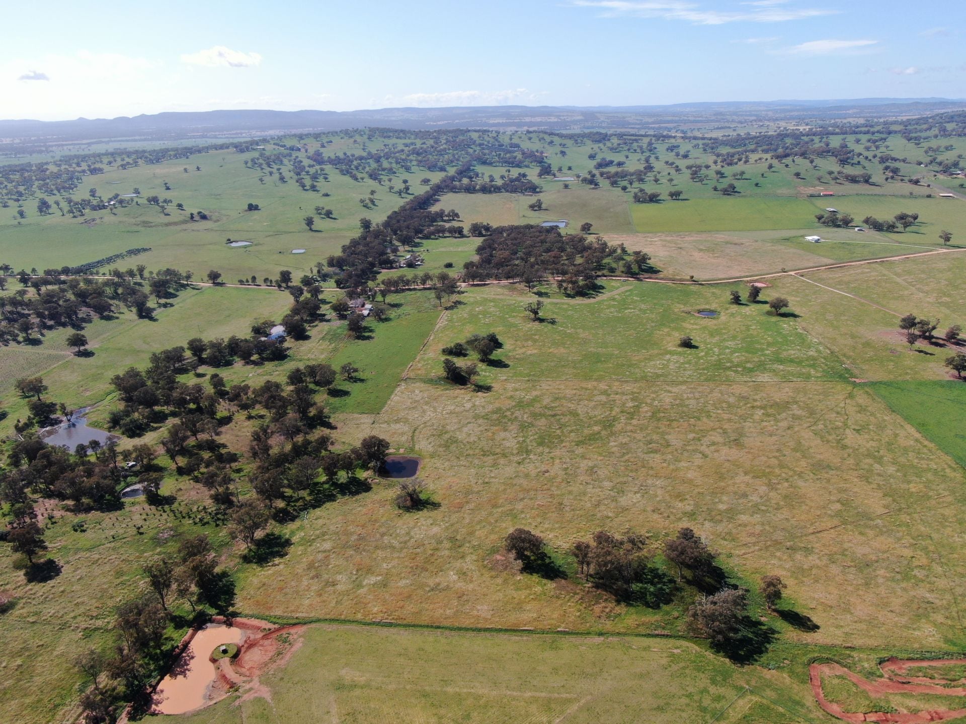 327 Springfield Lane, Mudgee, Mudgee - Thumbnail 8