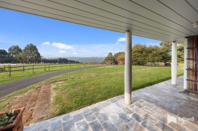 4
 
 
 
  
 
 
 2
 
 
 
  
 
 
 2
 
 
 
 
 
 
 
 57 Lodder Road, Don TAS 7310, Don - Thumbnail 7