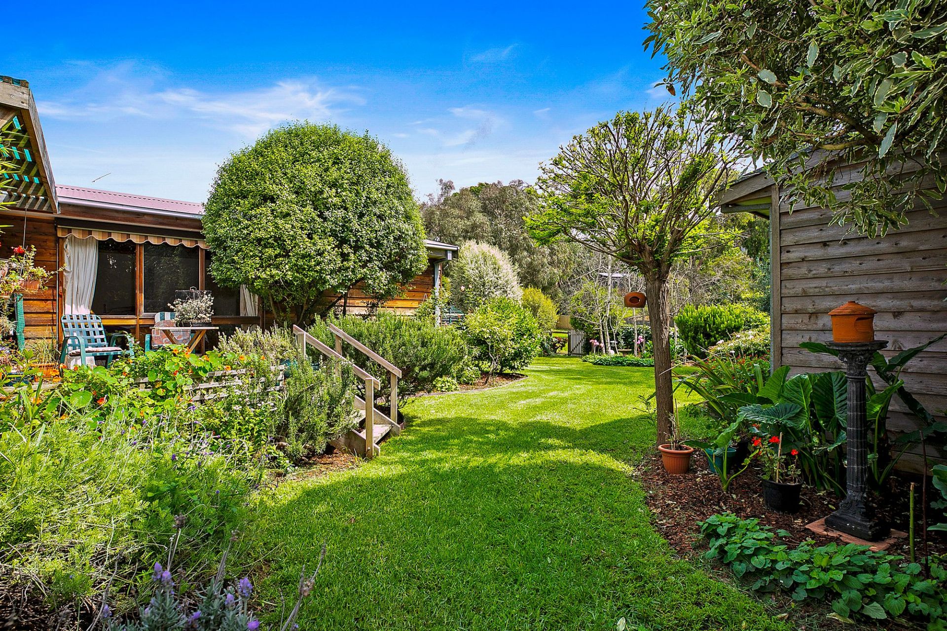 31 Kalinga Road Ocean Grove VIC, Ocean Grove - Thumbnail 3