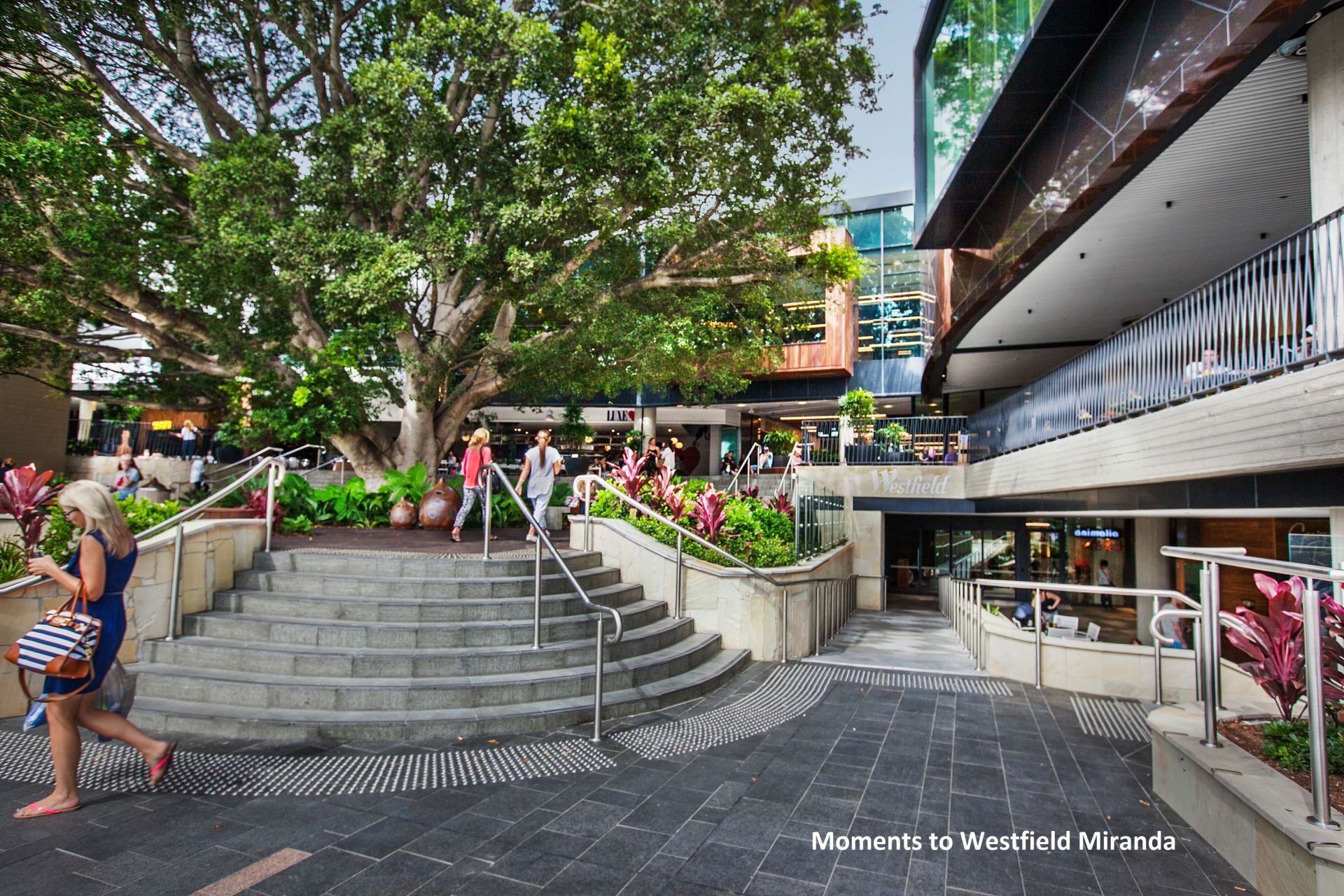 16F/5-29 Wandella Road Miranda NSW, Miranda - Thumbnail 7
