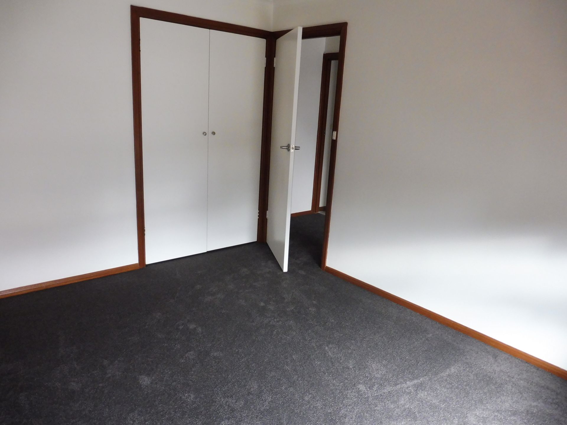 NEWLY RENOVATED DELIGHT