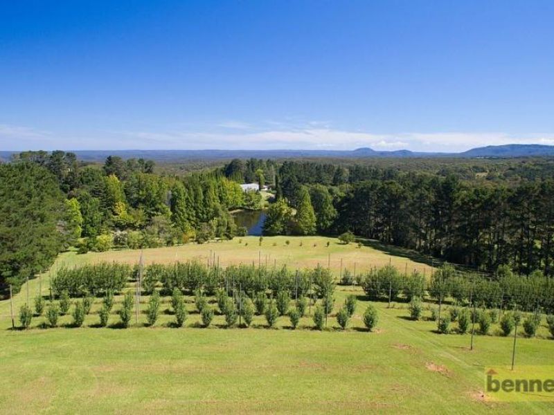 BILPIN, NSW, Bilpin - Thumbnail 2