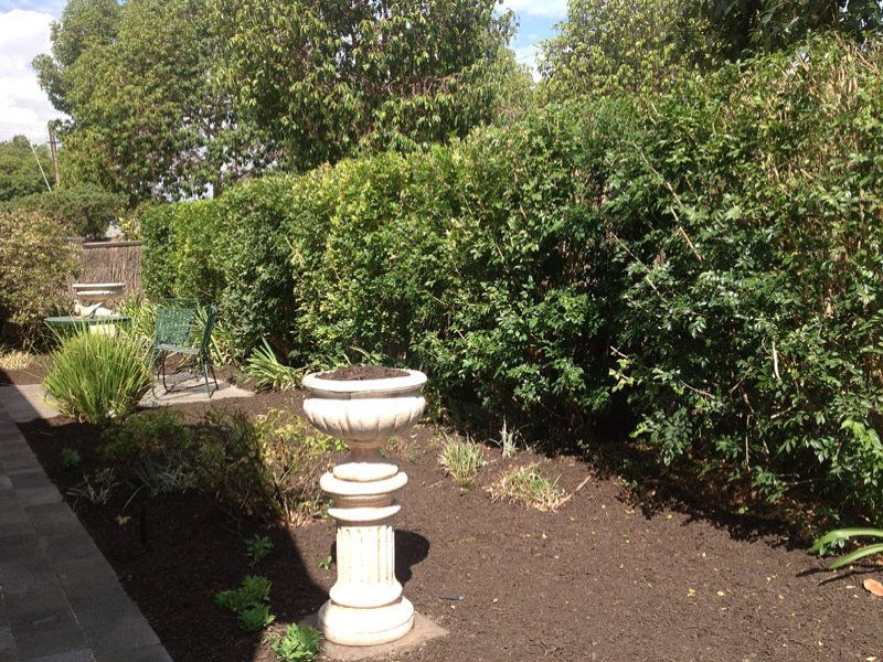 19 Broughton Street Glenside 5065