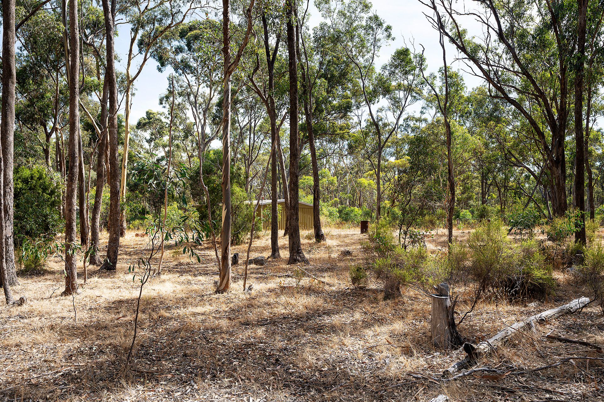 90 Fryers Road, Campbells Creek - Thumbnail 6