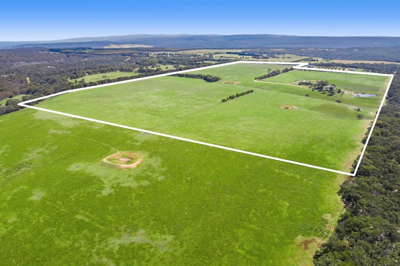 220 Elkington Road, Bellbrae, VIC, Bellbrae - Thumbnail 3