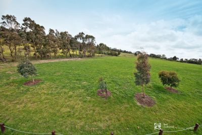 28 Mortar Ridge Mernda, Mernda - Thumbnail 6