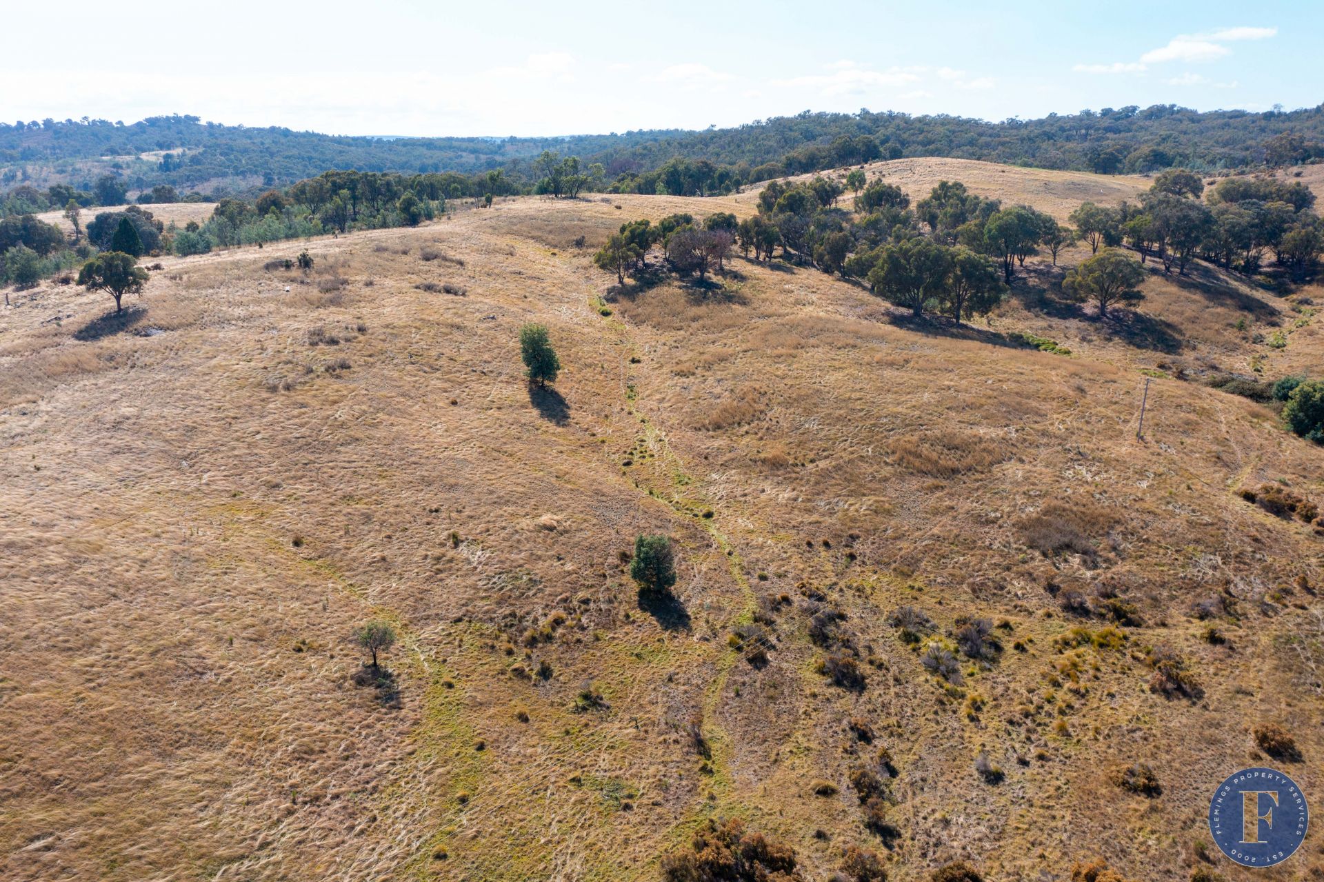 12 Taylors Flat Road, Frogmore NSW, Frogmore - Thumbnail 6