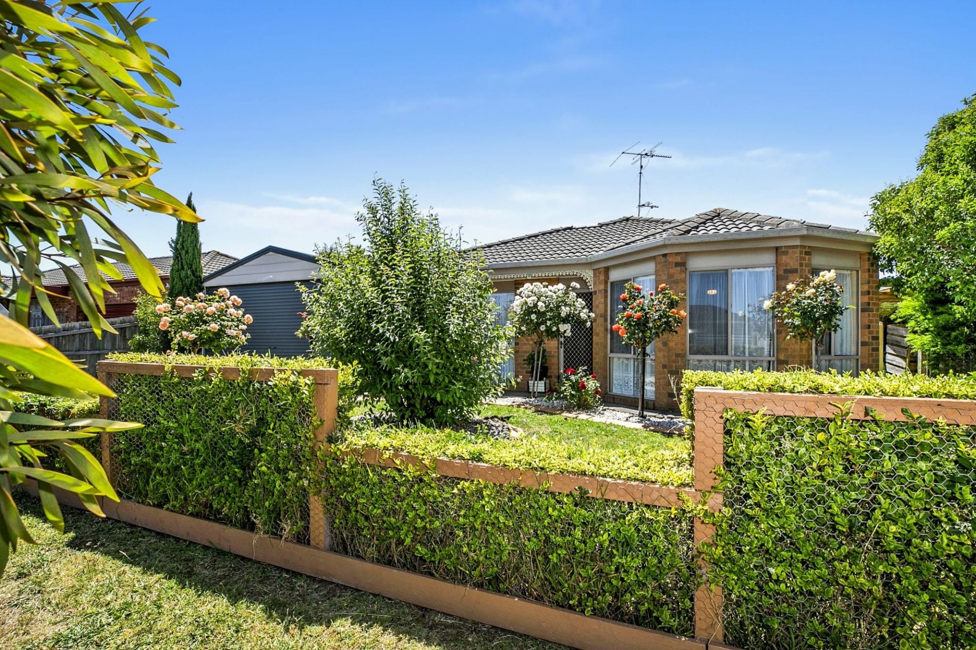 6 Arlington Crescent Ocean Grove VIC, Ocean Grove - Thumbnail 2