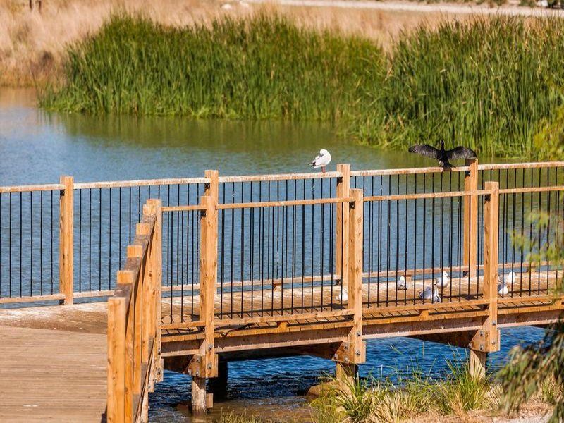 6 Allanby Way OCEAN GROVE VIC, Ocean Grove - Thumbnail 7