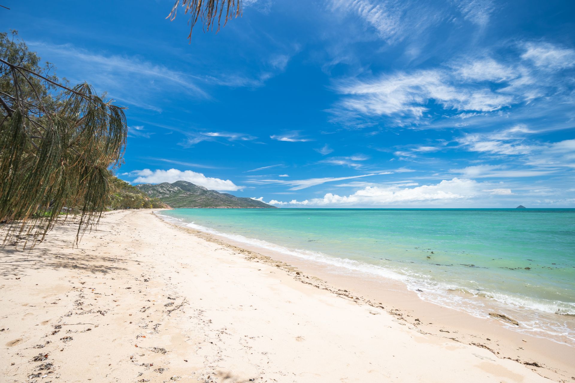 81 Pioneer Drive, Dingo Beach Taylors Property Specialists