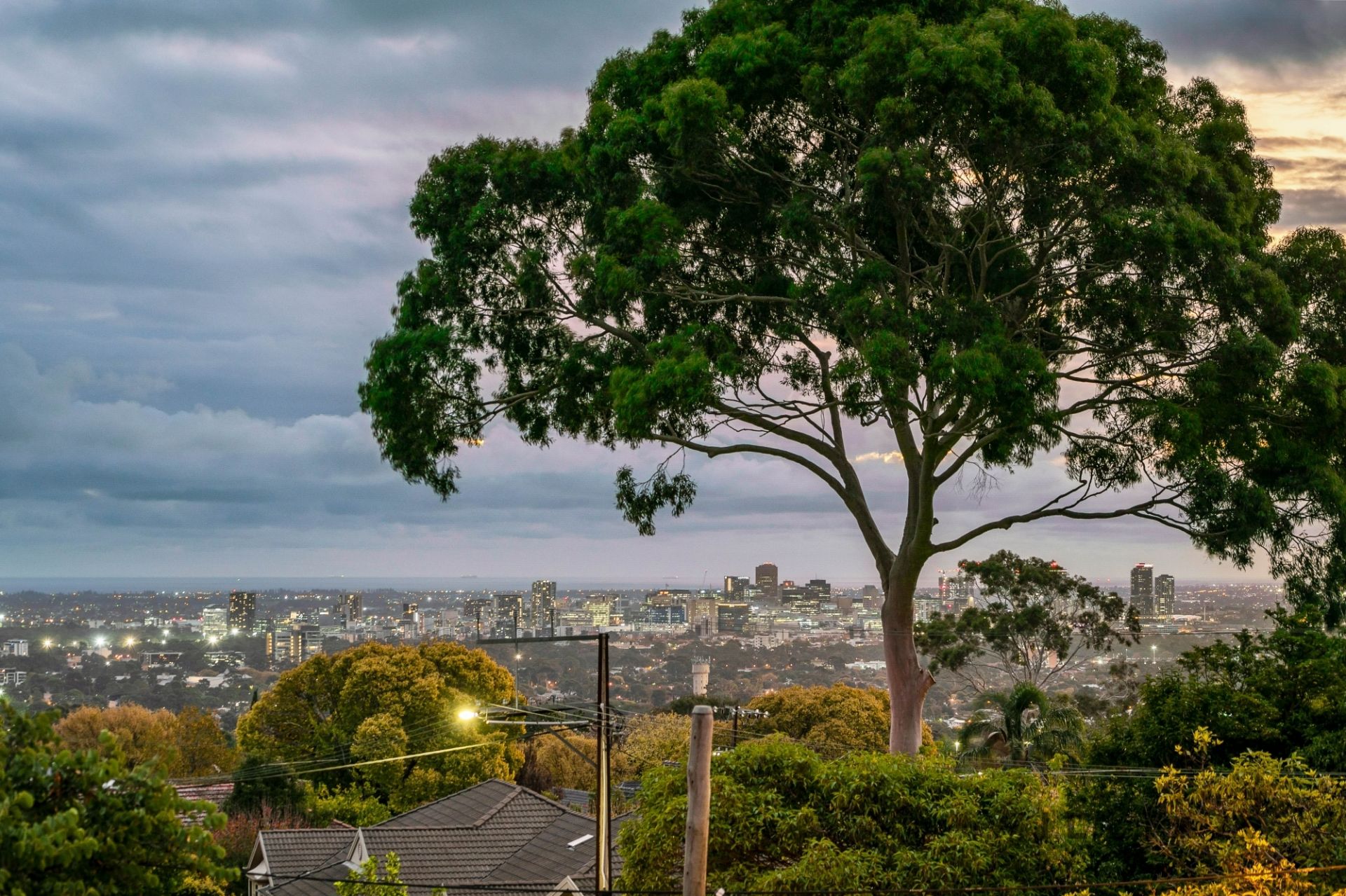 54 Dashwood Road, Beaumont Williams Real Estate