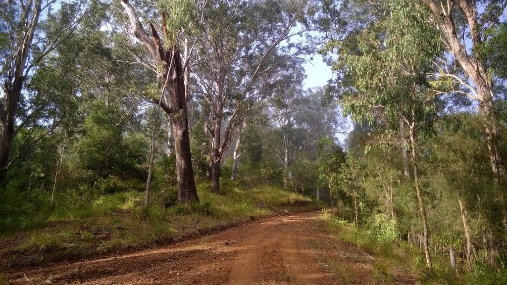 , ELLENBOROUGH NSW 2446