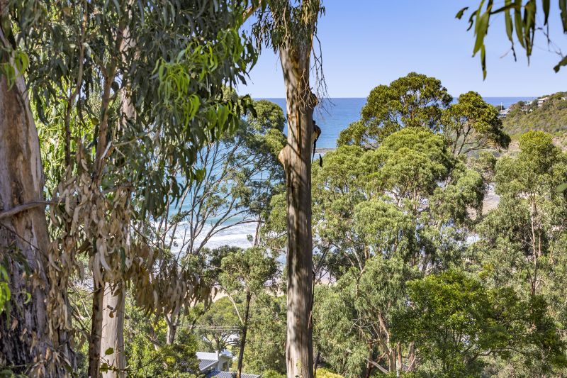 6 Durimbil Avenue, Wye River, VIC, Wye River - Thumbnail 4