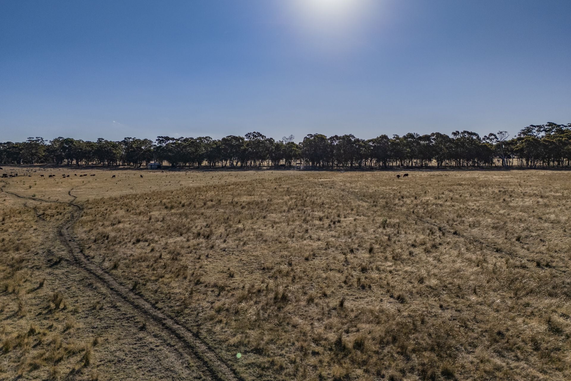 Create Your Rural Escape! 100 acres of land to build your dream home.
