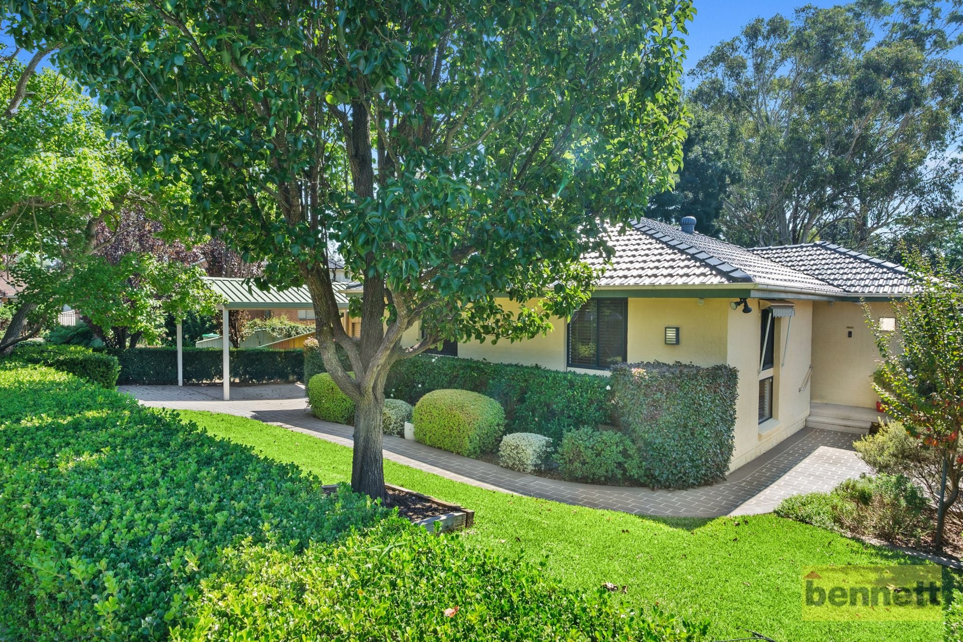 19A Monti Place, North Richmond - Thumbnail 2