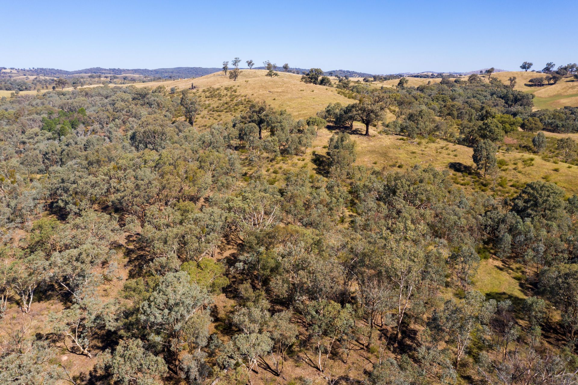 4 Old Wheeo Road, Taylors Flat NSW, Taylors Flat - Thumbnail 3