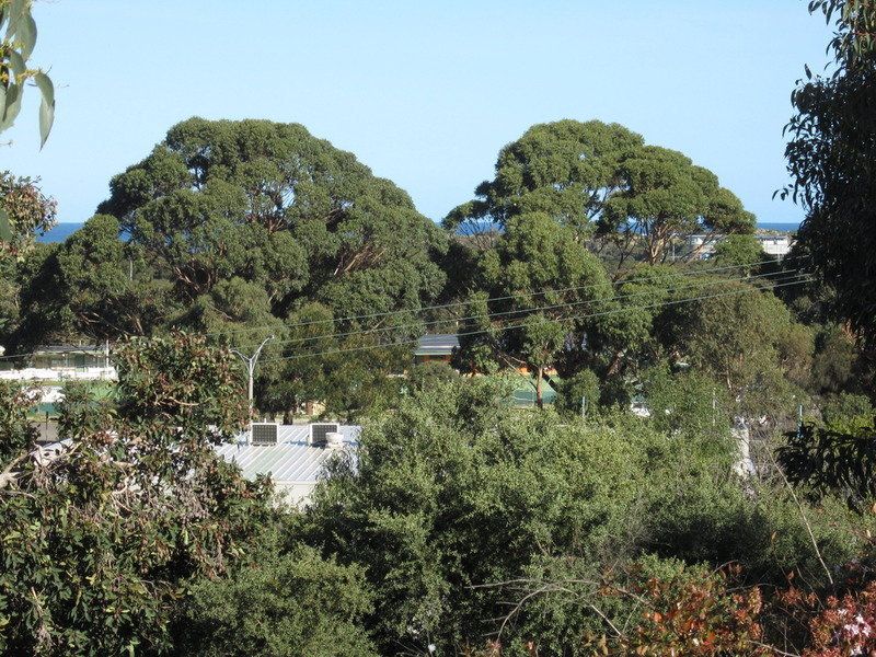 15 Walker Street, Anglesea, VIC, Anglesea - Thumbnail 3