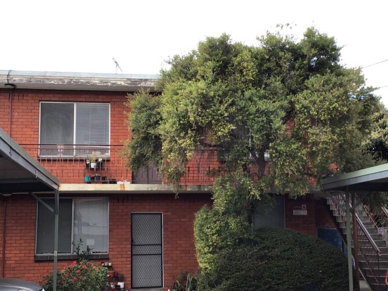 12/6 Dorothy Street, Brunswick