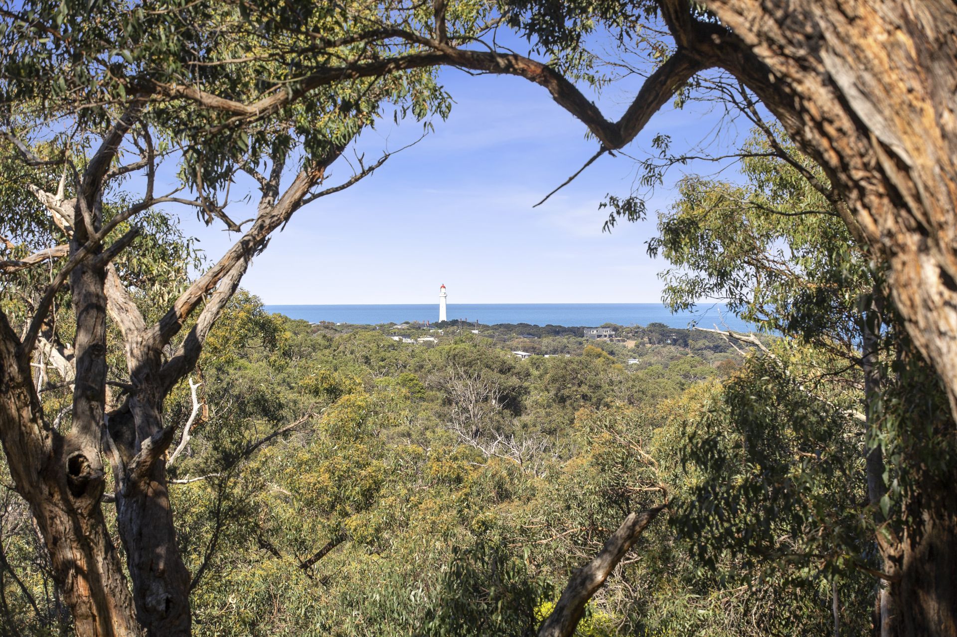 135 Boundary Road, Aireys Inlet - Thumbnail 4