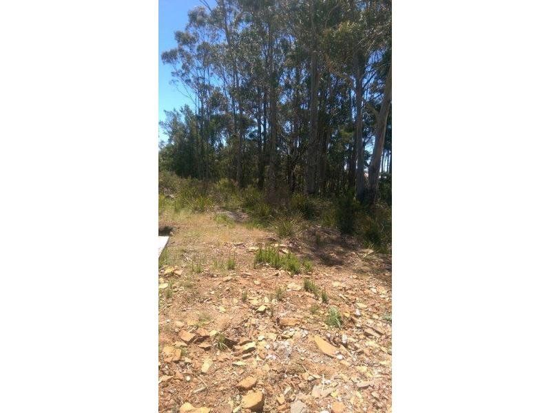 142 Stony Rise Road, STONY RISE, Stony Rise - Thumbnail 6