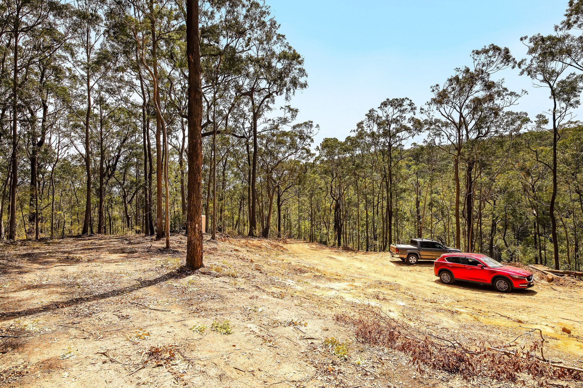 Lot 159 -160 Mountview Road, Millfield, Millfield - Thumbnail 6