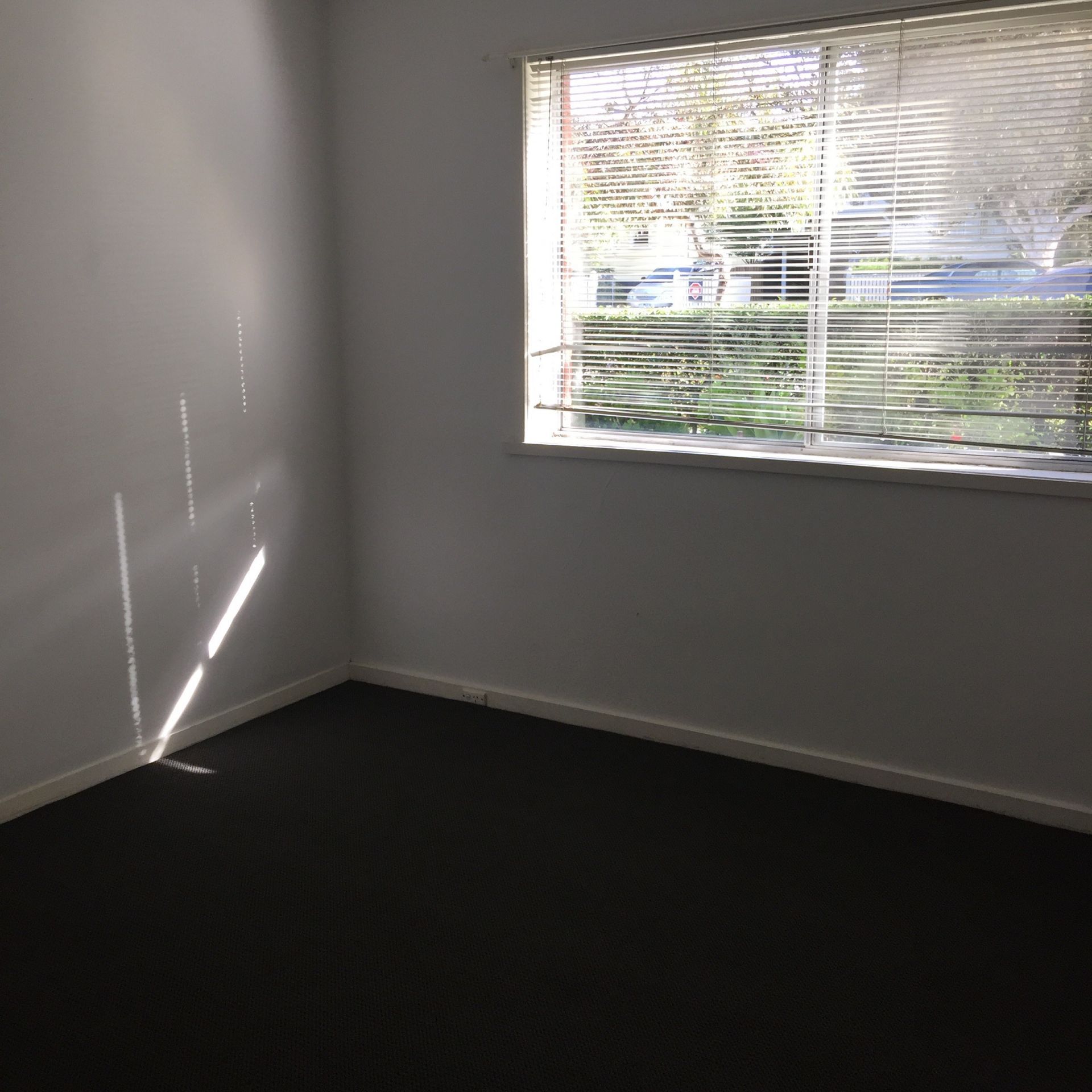 Stylish Two Bedroom Apartment!