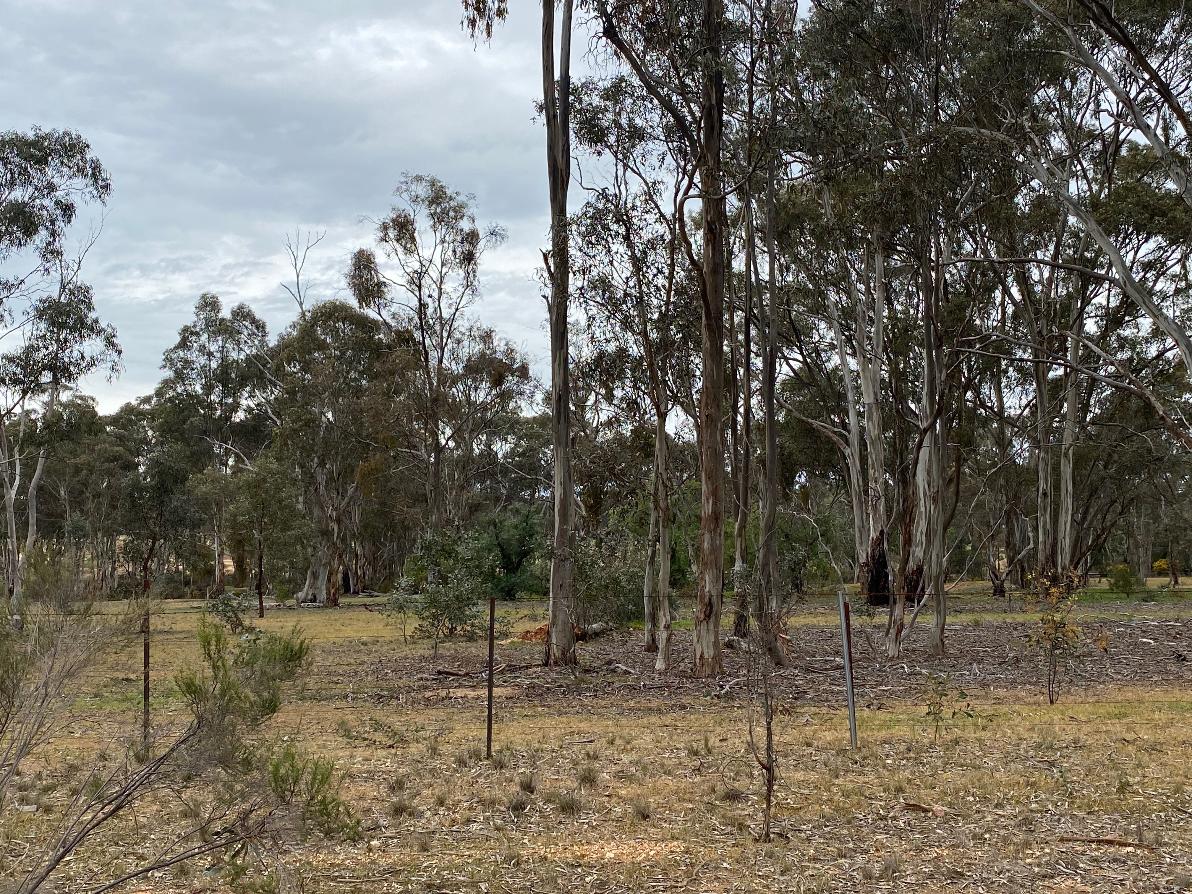 Lot 11/ Denyers Road, Bowenvale VIC 3465