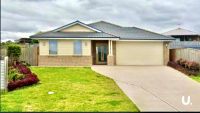 3 Sandpiper Circuit Aberglasslyn, Nsw