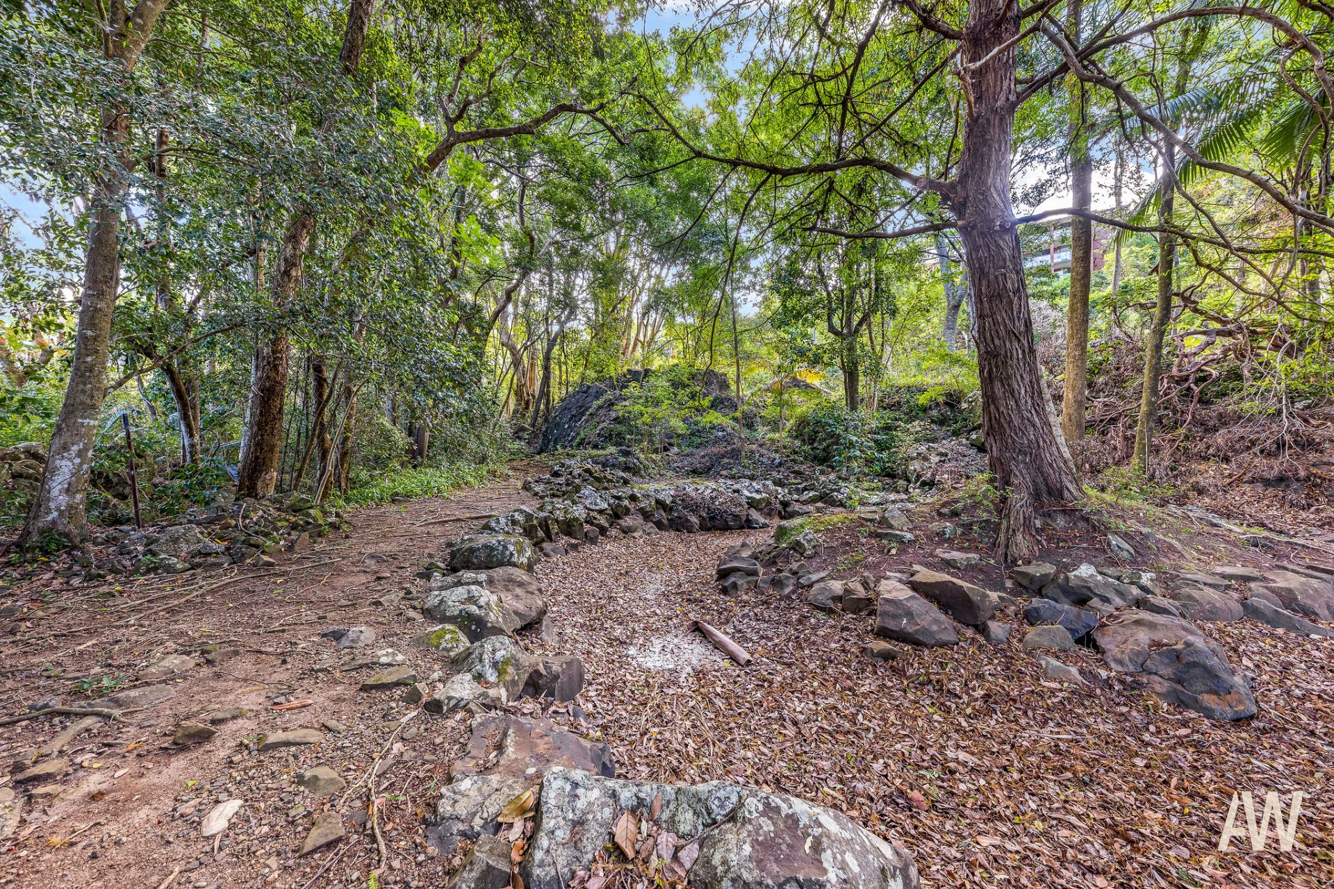 12A Gwynore Court Buderim QLD, Buderim - Thumbnail 5