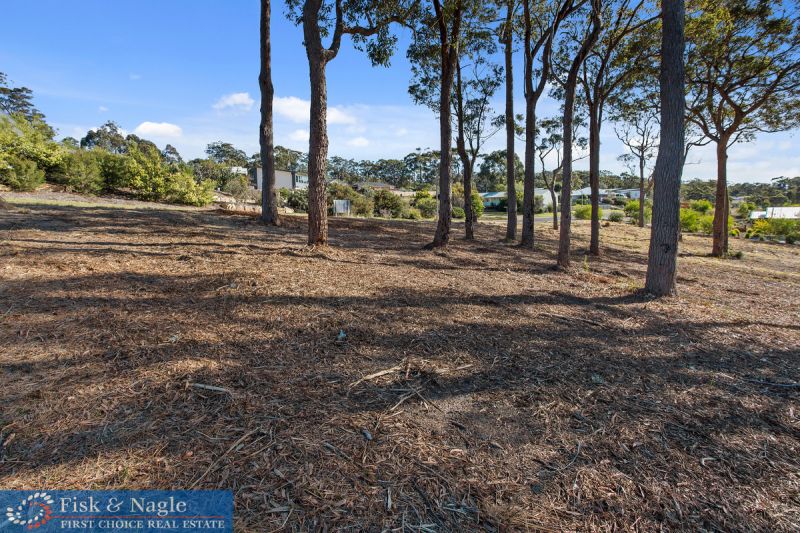 12 Kangaroo Tura Beach NSW, 12 Kangaroo Tura Beach - Thumbnail 2