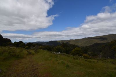 9 Smiths Plains Road, South Nietta, South Nietta - Thumbnail 5