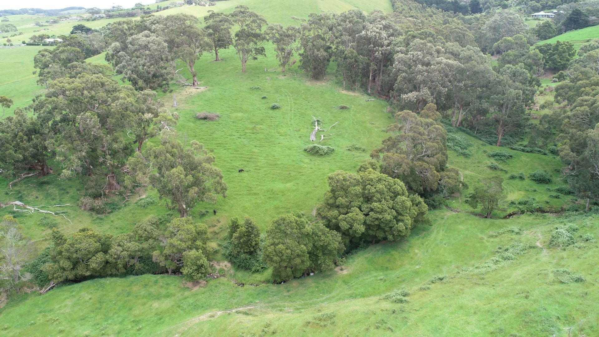 33 Tuxion Road, Apollo Bay - Thumbnail 5