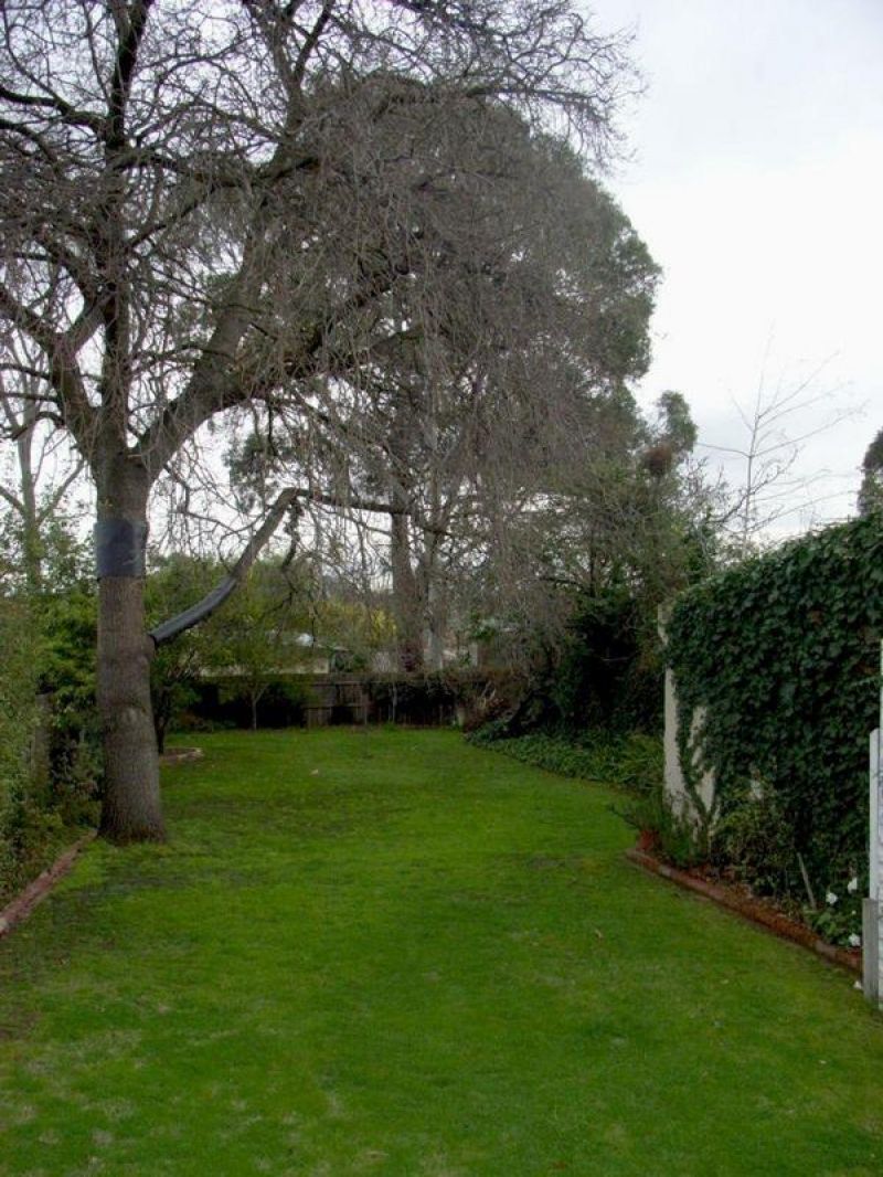 427 Tooronga Road, Hawthorn - Thumbnail 4