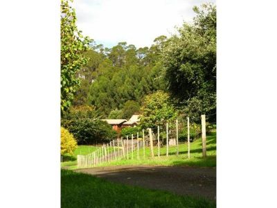 135 Maloneys Road, SUNNYSIDE, Sunnyside - Thumbnail 3