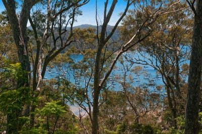 32 Birubi Crescent Bilgola NSW, Bilgola - Thumbnail 8