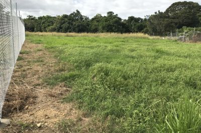 883/9 Ridley Close, Edmonton